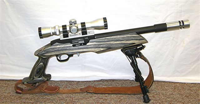 Custom Ruger 10/22