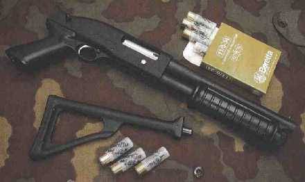 BERETTA RS202