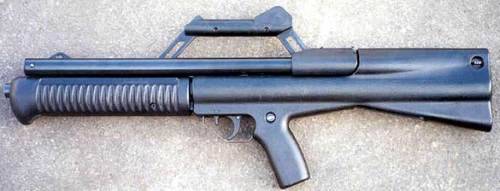 Neostead 12ga pump shotgun.