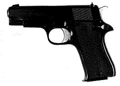 Star Model BKM