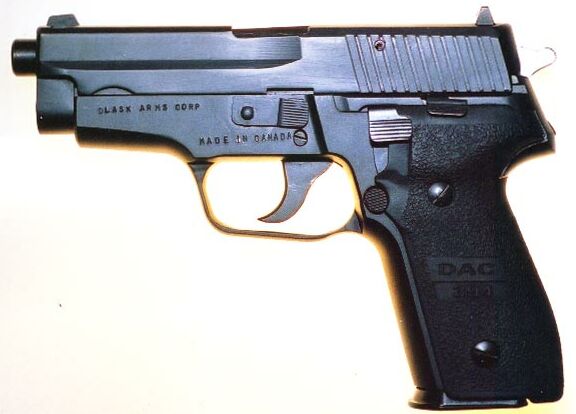 Dlask Model 394, a Canadian-made SIG-Sauer P228 clone