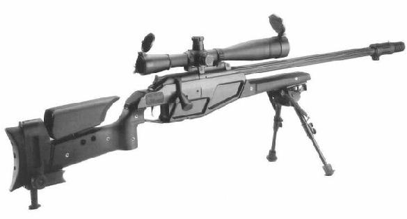 Blaser 93 CISM