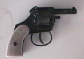 E.I.G. .22 Caliber Revolver
