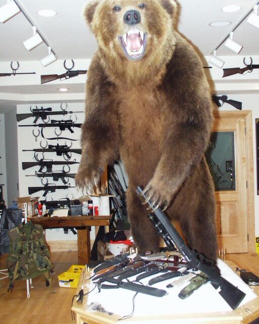 Copilot by Wildwest guns of Anchorage Alaska. Caliber 45/70.