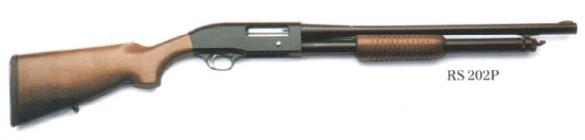 BERETTA RS202-P
