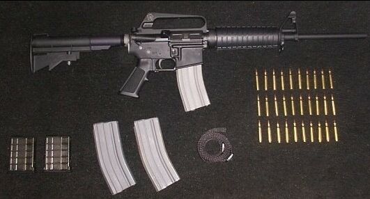 DPMS Panther lite 16