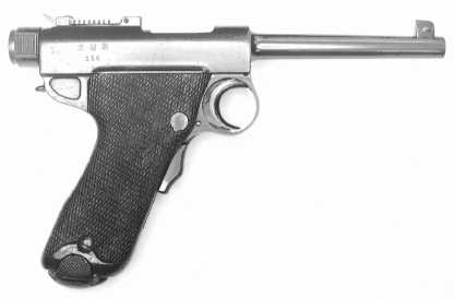 Nambu type A