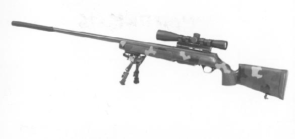 ARMS-TECH 300 Winchester Magnum