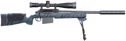 PGWDTI MRSWS Weapon System