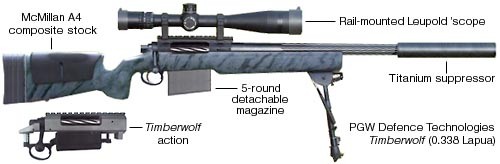 PGWDTI MRSWS Weapon System