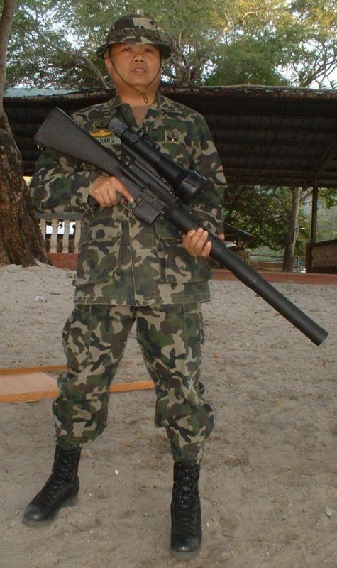 Night Fighting Weapon System (NFWS)