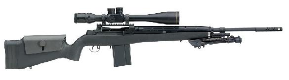 Springfield Armory M25 Tactical Rifle 7.62 NATO
