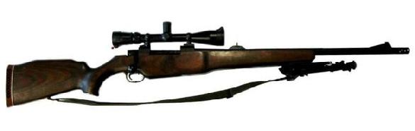 ELMECH EM-992, in .300 - Winchester Magnum (or in .7'62x51mm as the EMM-992).